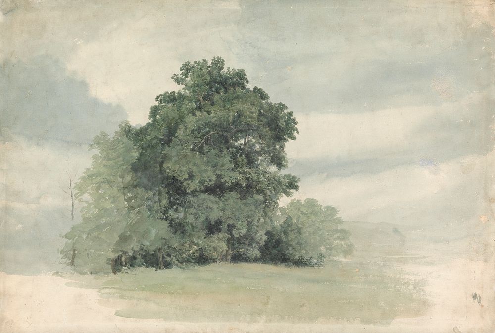 Study of Trees at the Edge of a Field by Cornelius Varley