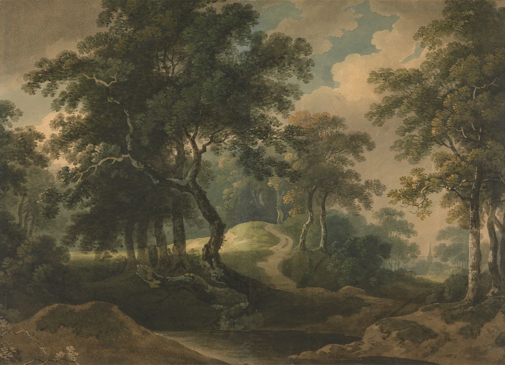 Woodland Landscape