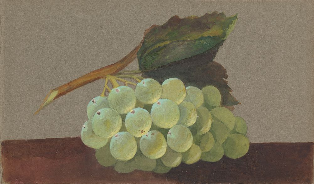 A Bunch of Grapes