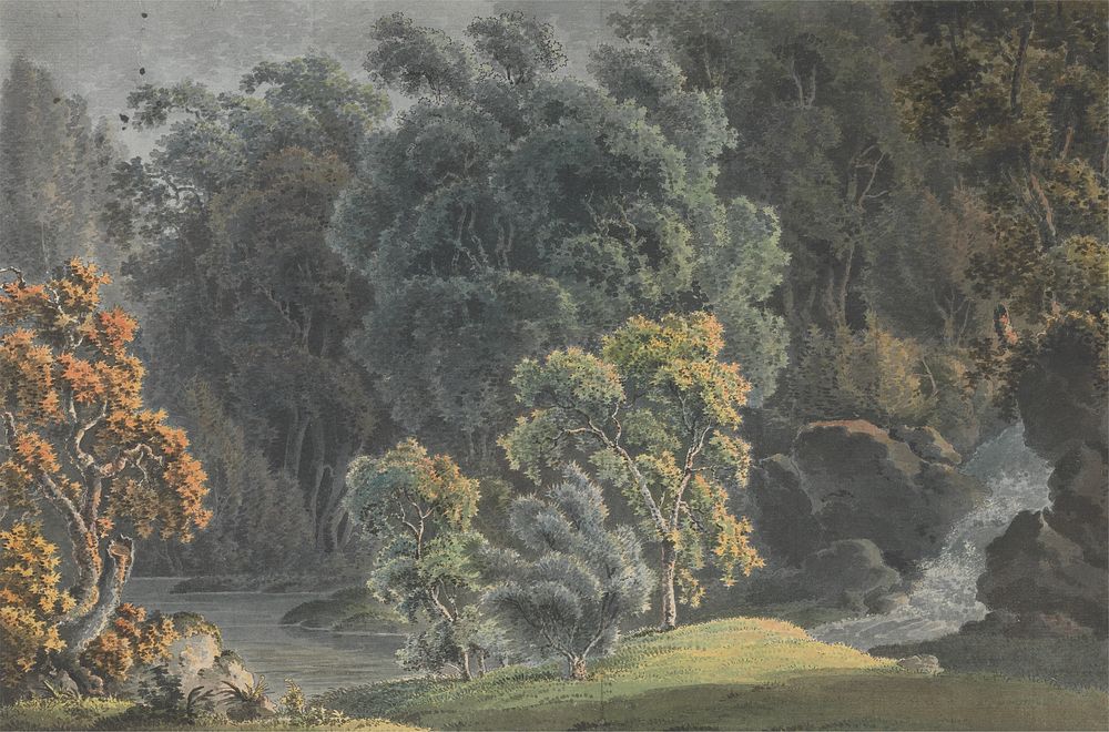 River Scene with Waterfall and High Trees