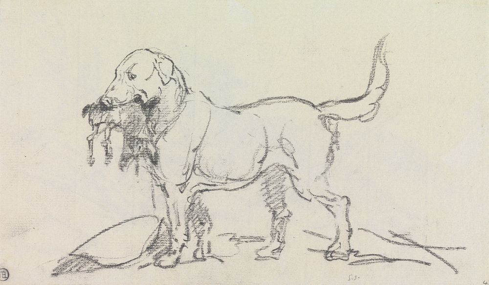 Retriever with Hare in Its Mouth