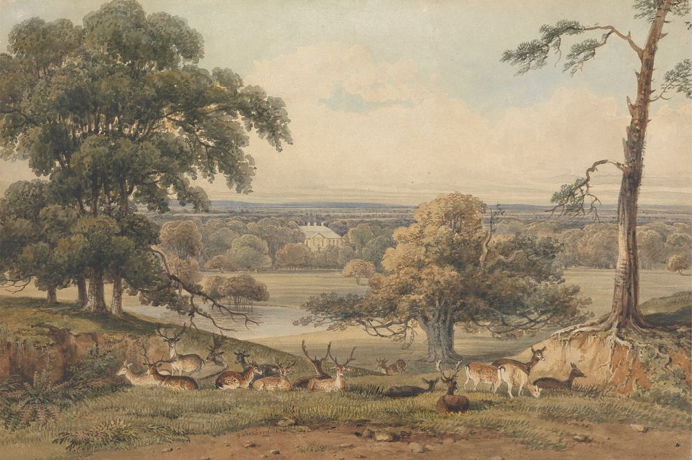 A Distant View of Ampthill Park