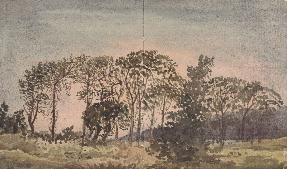 Landscape with trees by David Charles Read