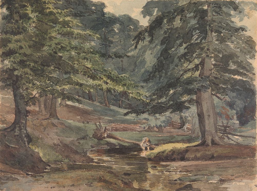 Wooded River Scene