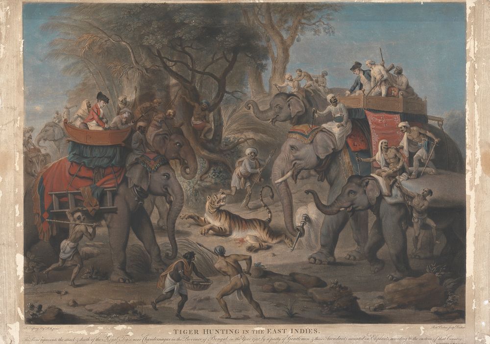 Tiger Hunting in the East Indies