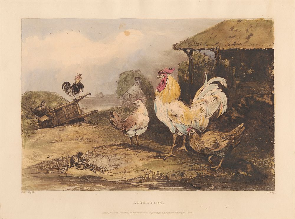 Rural Chivalry; A Series in six plates of Fighting Cocks:  1.  Attention