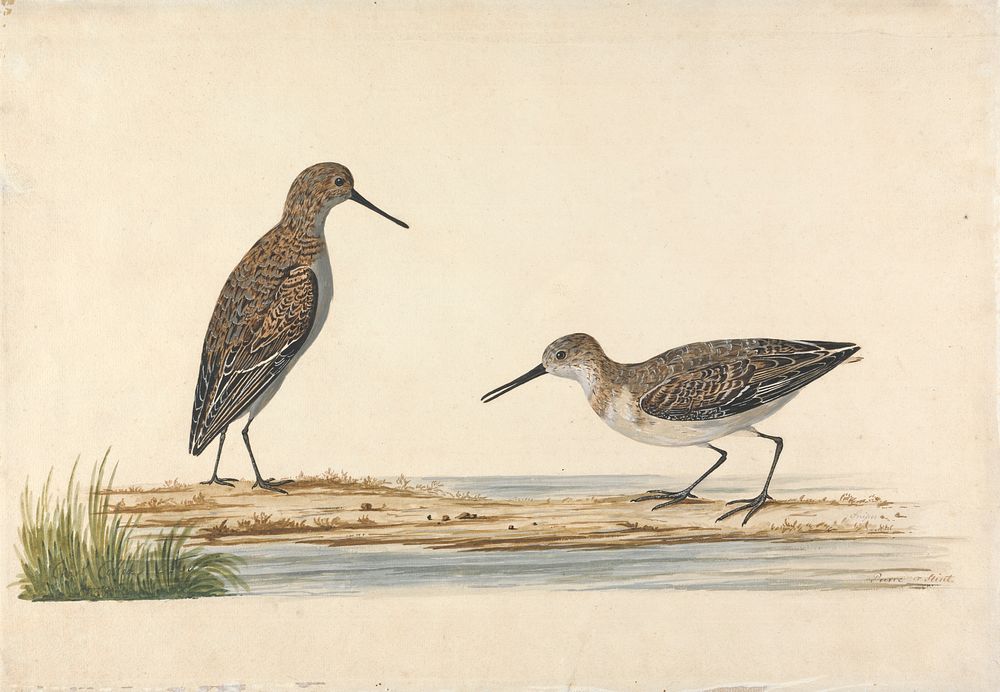 A Pair of Stints