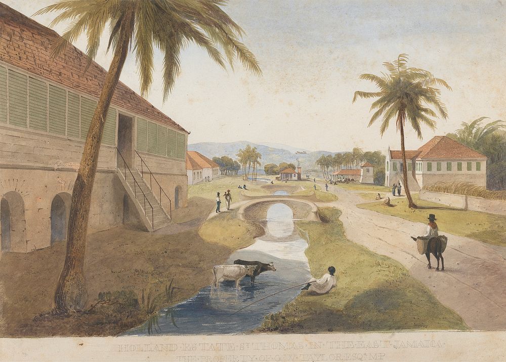 Holland Estate, St. Thomas in the East, Jamaica [One of ]