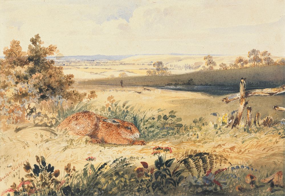 Hare in a Landscape