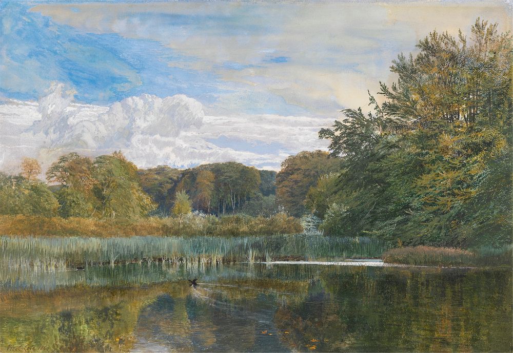 The Mill Pond, Evelyn Woods