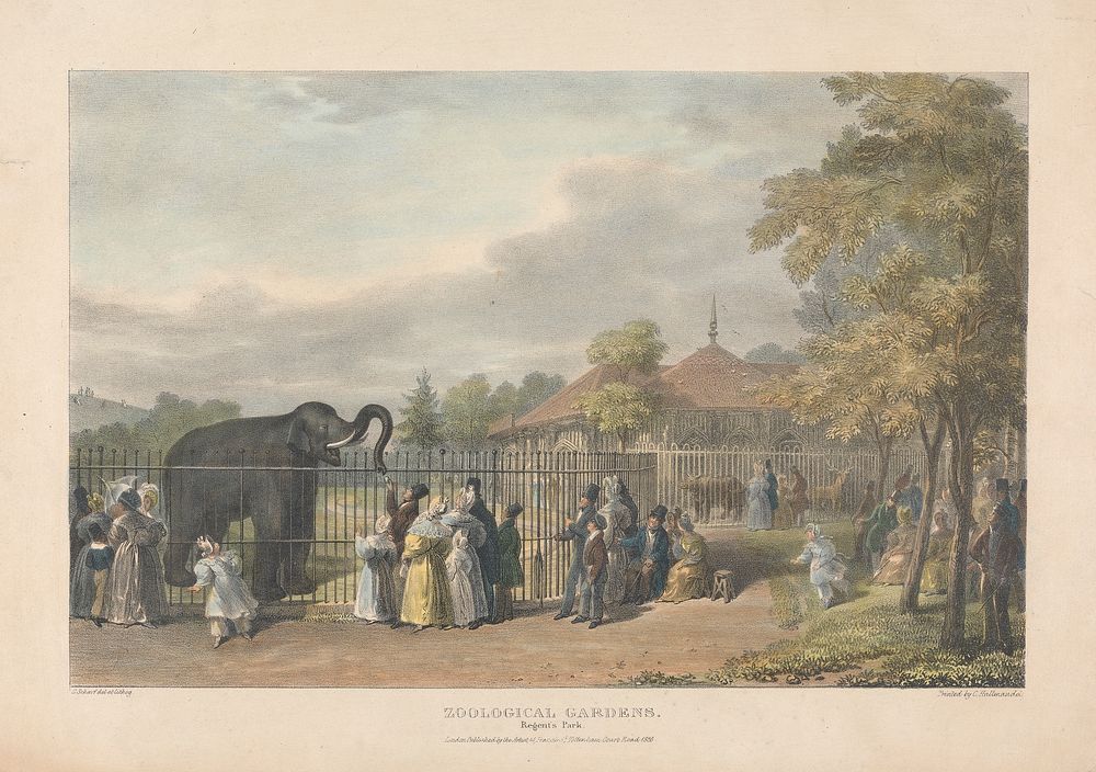 Zoological Gardens, Regent's Park