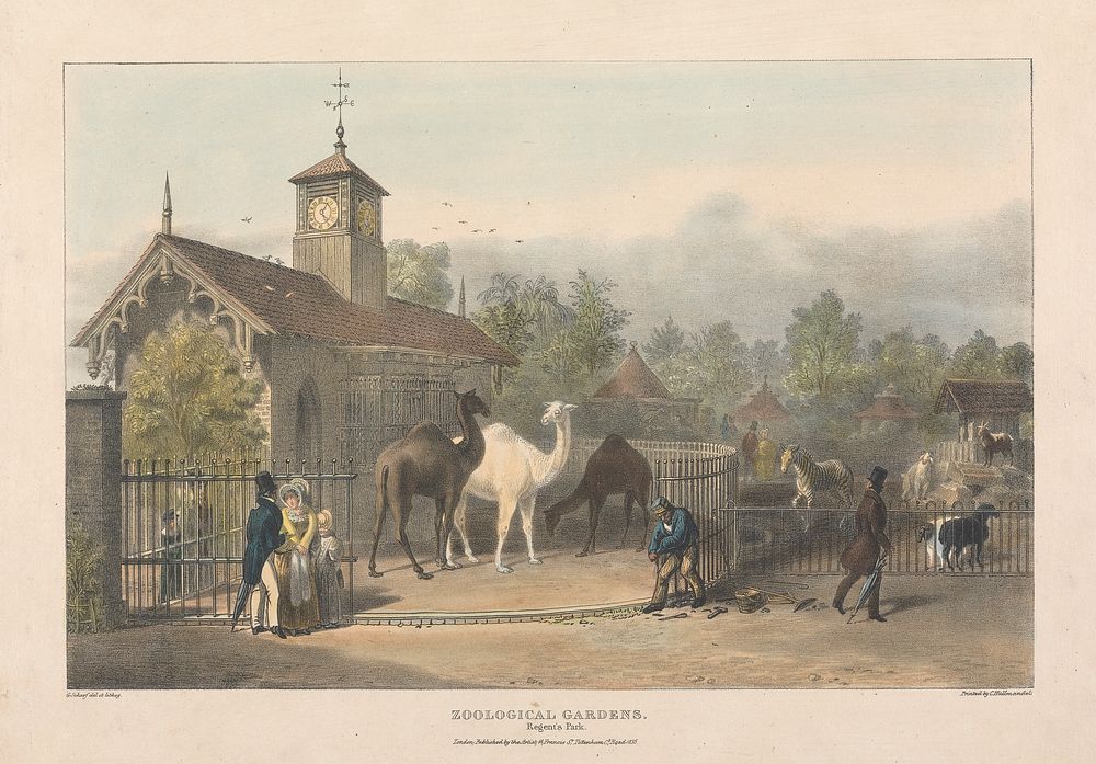 Zoological Gardens, Regent's Park