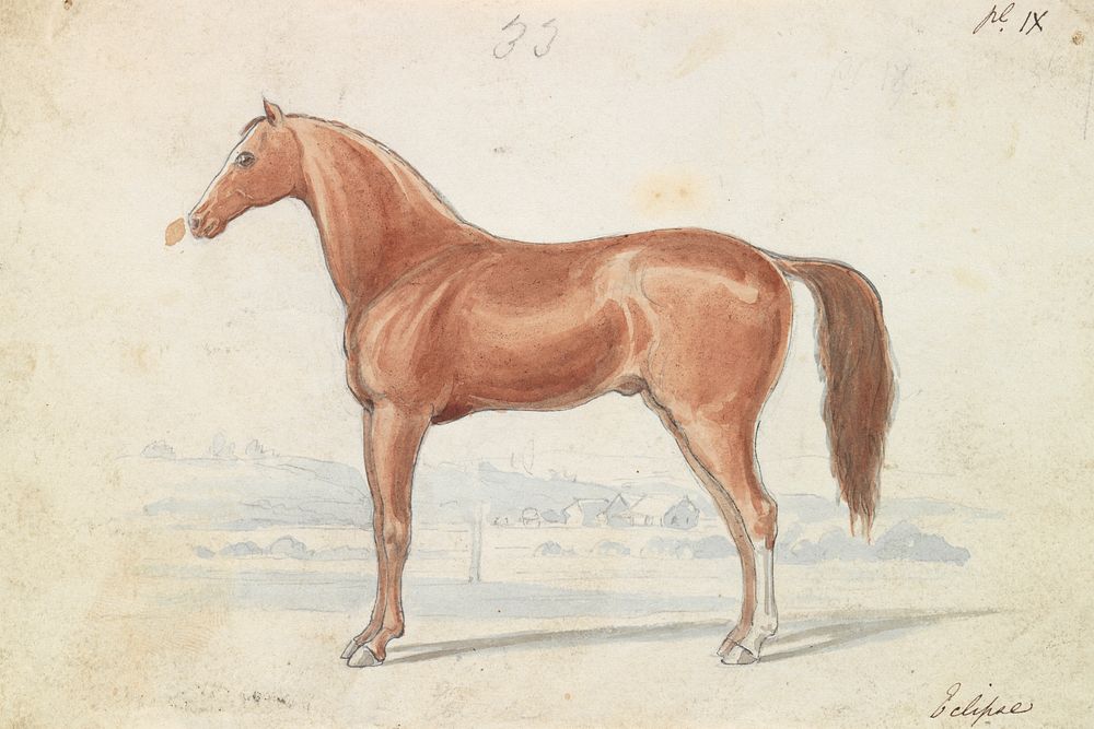 The English Race-Horse by Charles Hamilton Smith