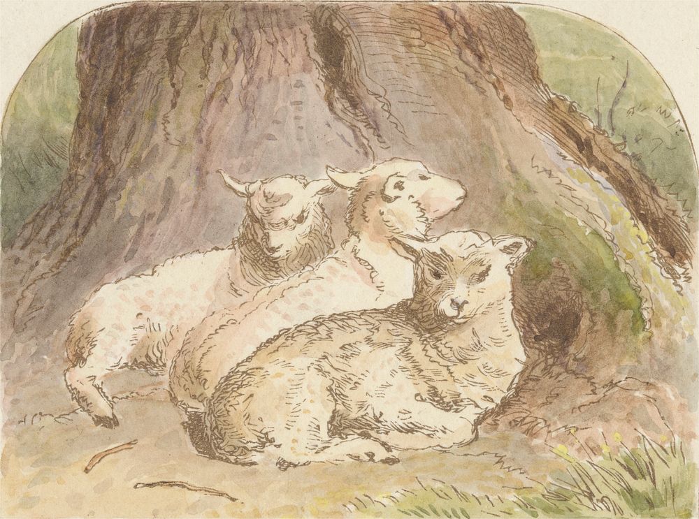 Lambing Time (tail piece)