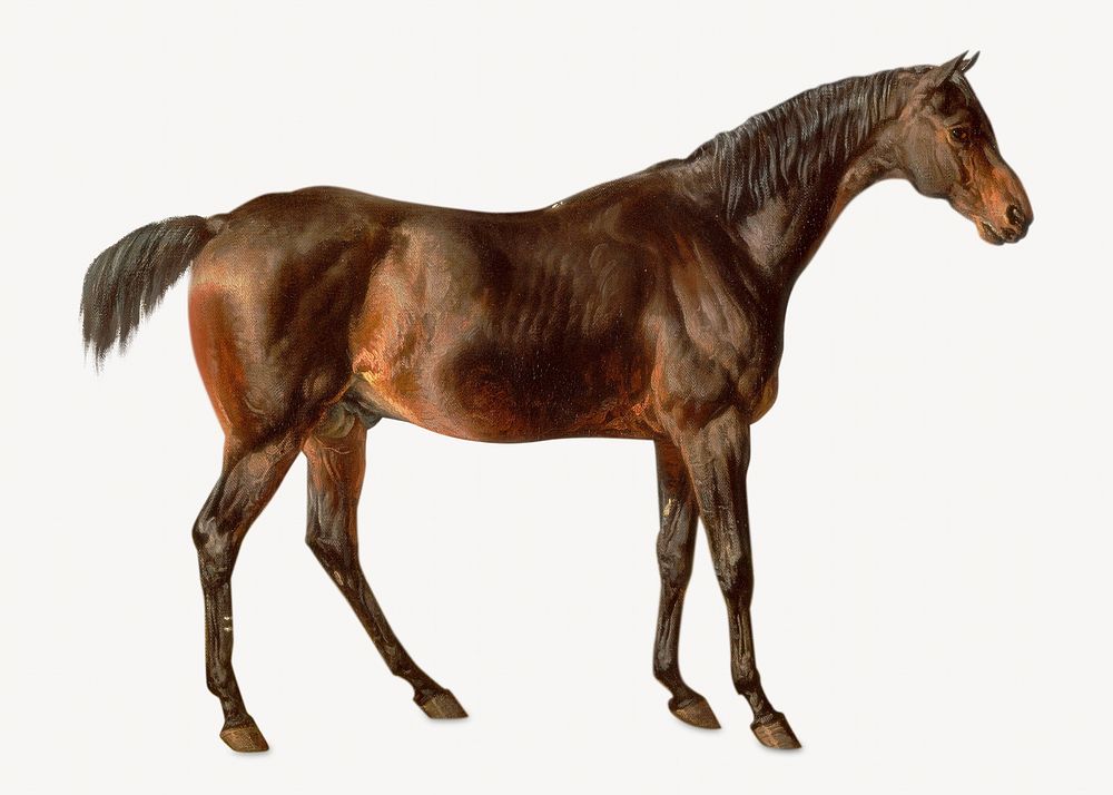 James Ward horse painting   isolated image