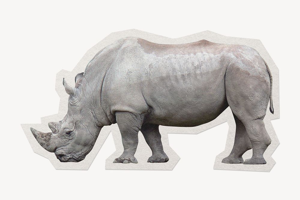 White rhinoceros paper element  white border