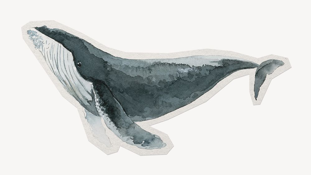 Watercolor humpback whale paper cut isolated design