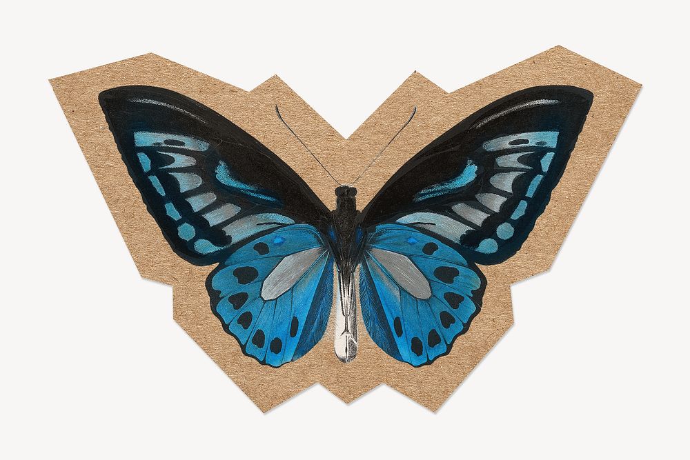 Blue butterfly, cut out paper element