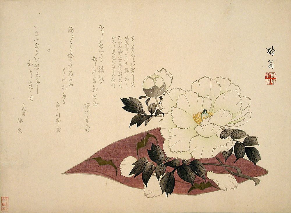 Camellia by Yabu Chōsui