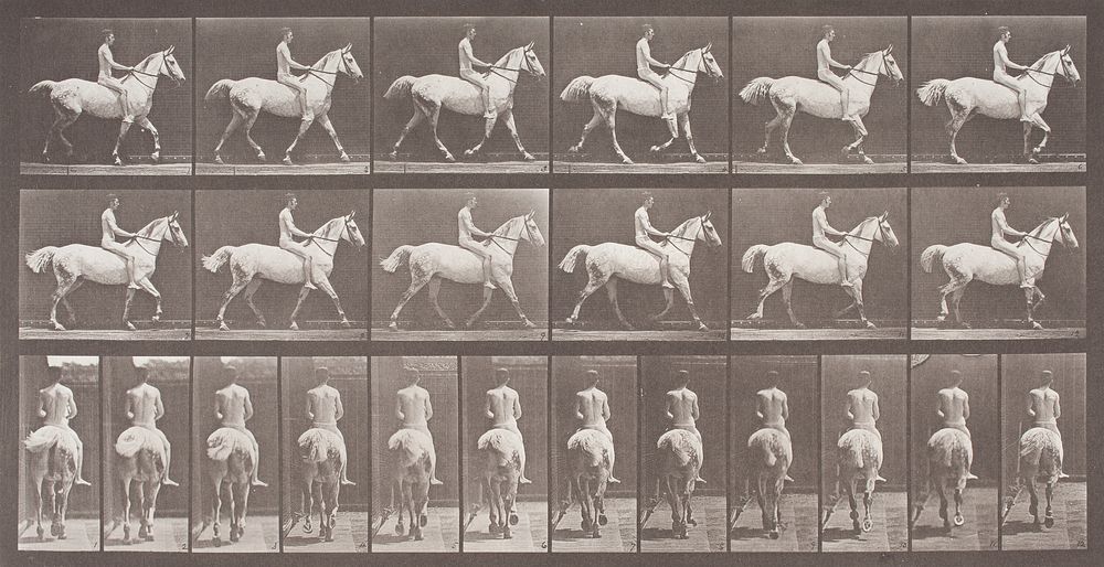 Smith Trotting Bareback by Eadweard Muybridge