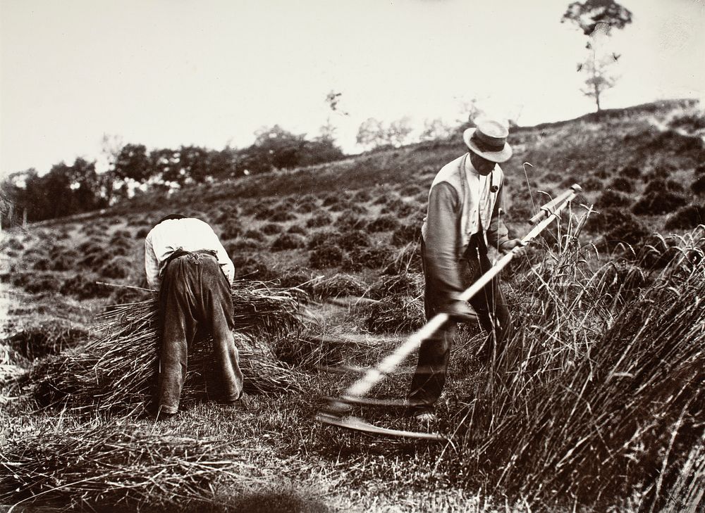 Faucheurs, Somme by Eugène Atget