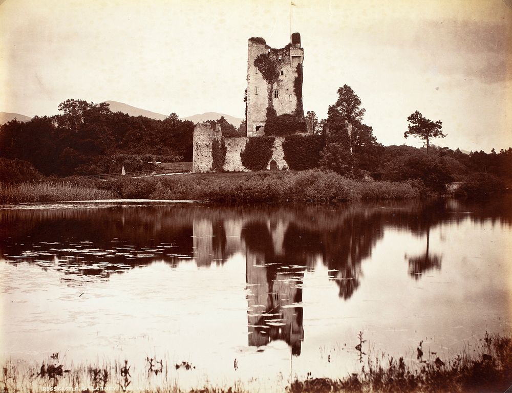 Ross Castle, Killarney by Robert French