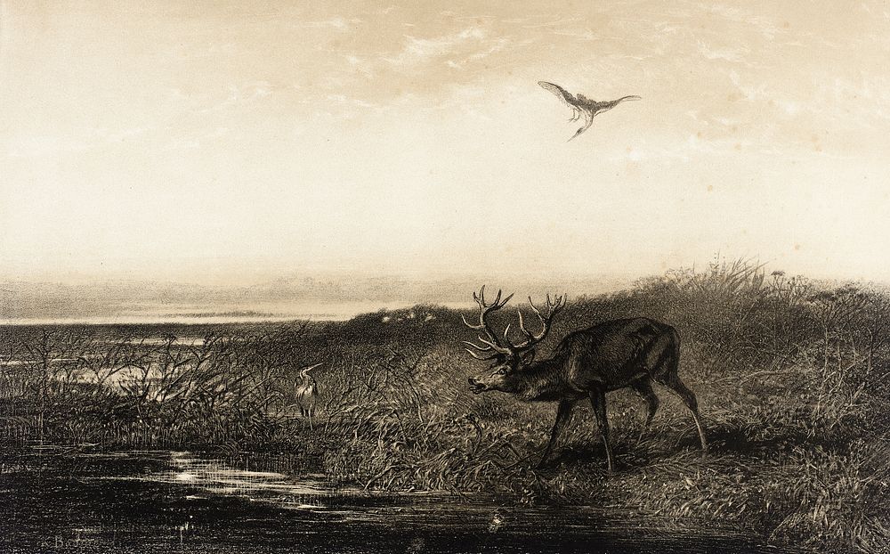 Le Soir: Cerf et Herons (Evening: Stag and Herons) by Karl Bodmer
