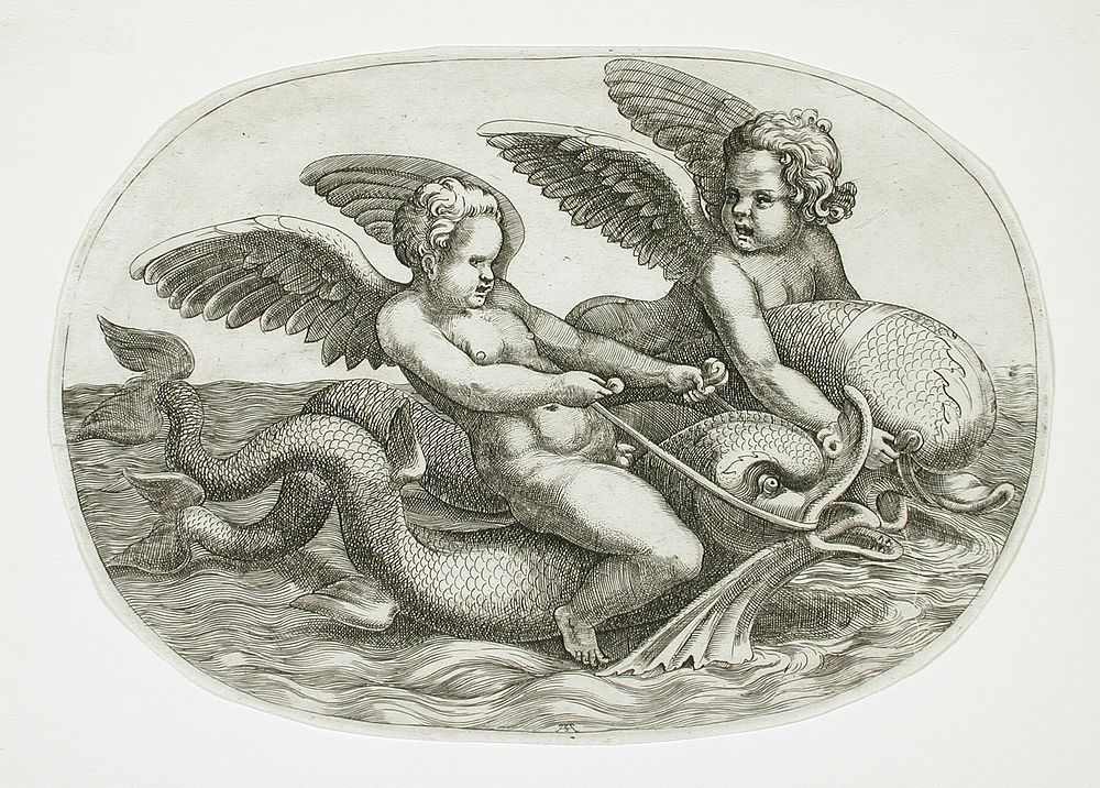 Two Cupids Riding a Dolphin by Adamo Scultori and Giulio Romano