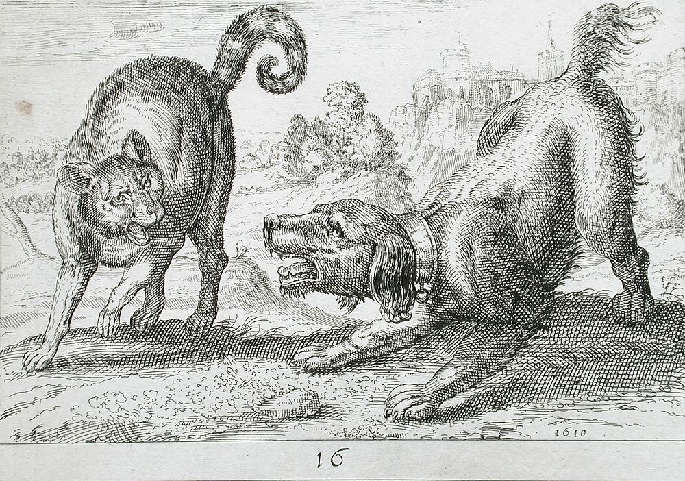 A Dog Fighting a Cat by Hendrik Hondius I and Antonio Tempesta