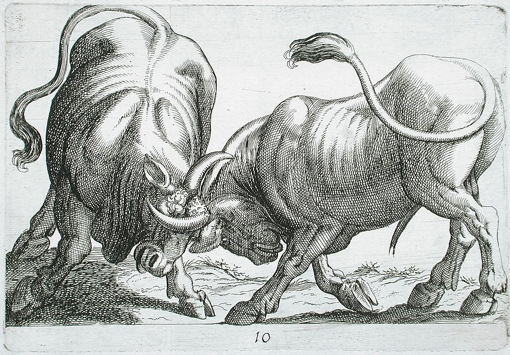 Two Bulls Fighting by Hendrik Hondius I and Antonio Tempesta
