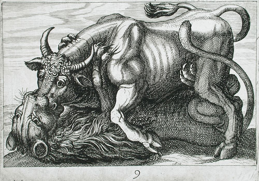 A Bull Fighting a Lion by Hendrik Hondius I and Antonio Tempesta