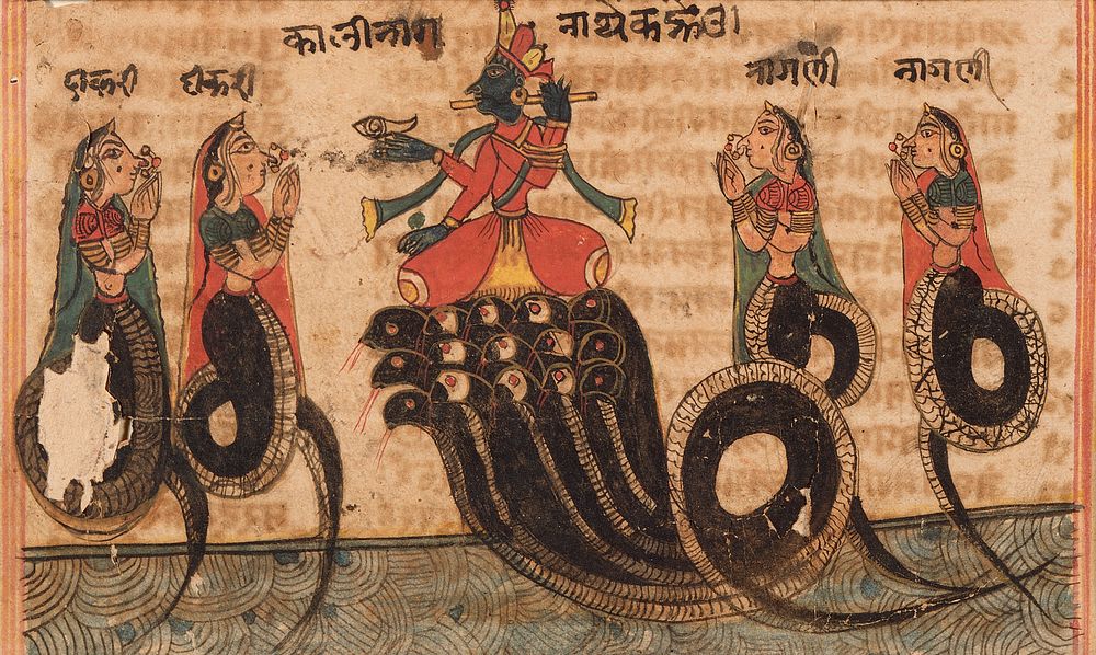 Krishna Quelling the Serpent King Kaliya, Folio from a Bhagavata Purana (Ancient Stories of the Lord)