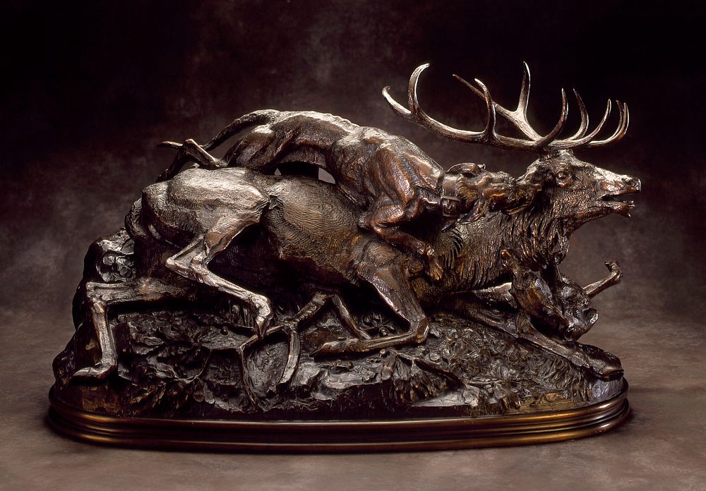 Stag Brought Down by Scottish Hounds by Antoine Louis Barye