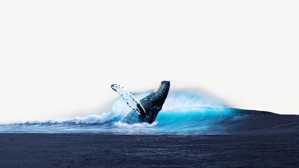 Humpback whale on the ocean collage element psd