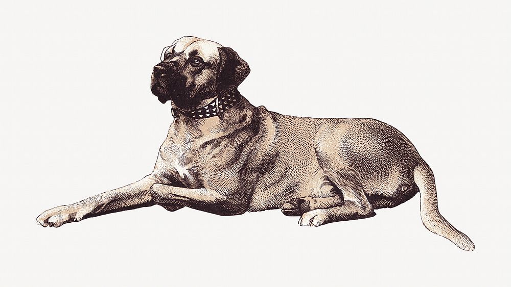 Vintage dog, pet animal illustration. Remixed by rawpixel.