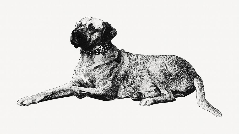 Vintage dog, pet animal illustration. Remixed by rawpixel.