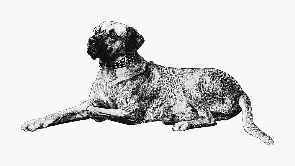 Vintage dog, pet animal illustration psd. Remixed by rawpixel.