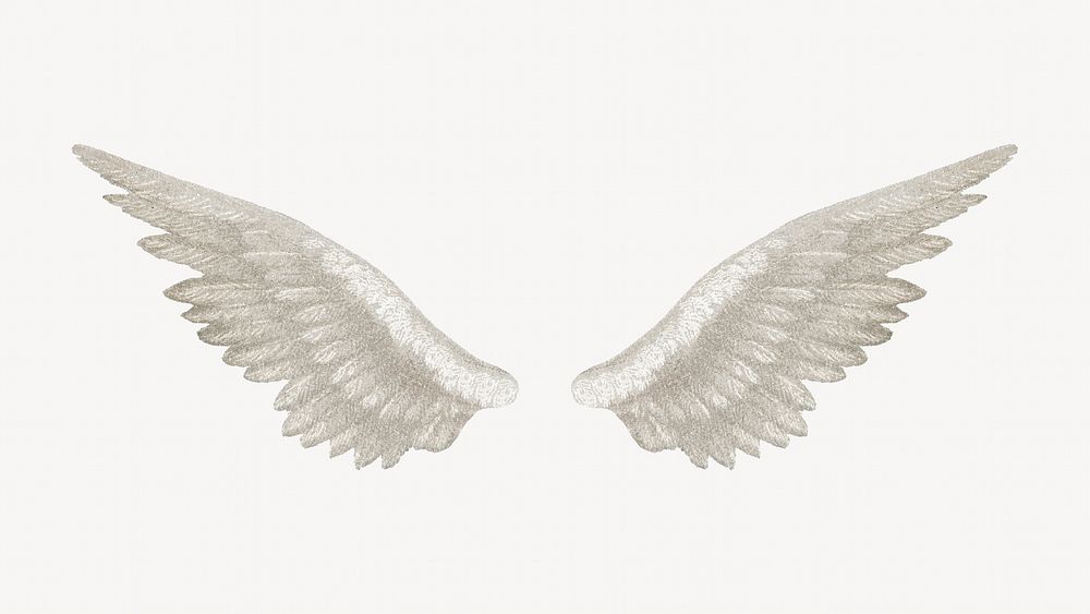 Vintage white bird wings illustration. Remixed by rawpixel.