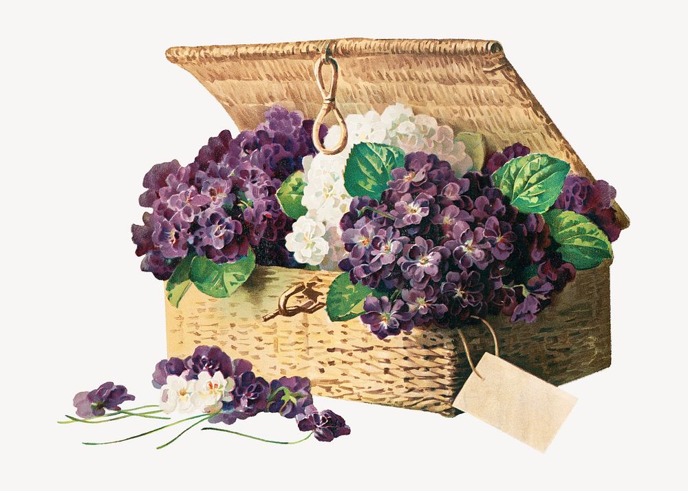 Invoice of violets, vintage purple flower basket illustration  by Paul de Longpr&eacute;. Remixed by rawpixel.