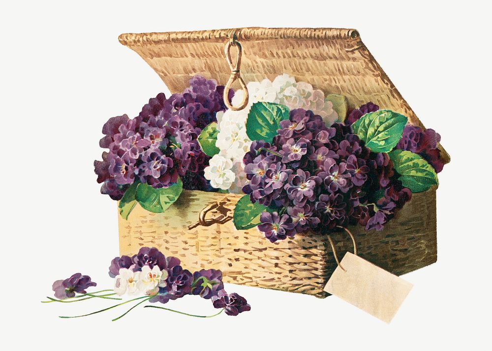 Invoice of violets, vintage purple flower basket illustration  by Paul de Longpré psd. Remixed by rawpixel.