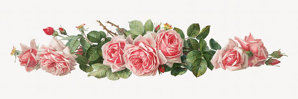La France roses, vintage flower illustration by Paul de Longpre. Remixed by rawpixel.