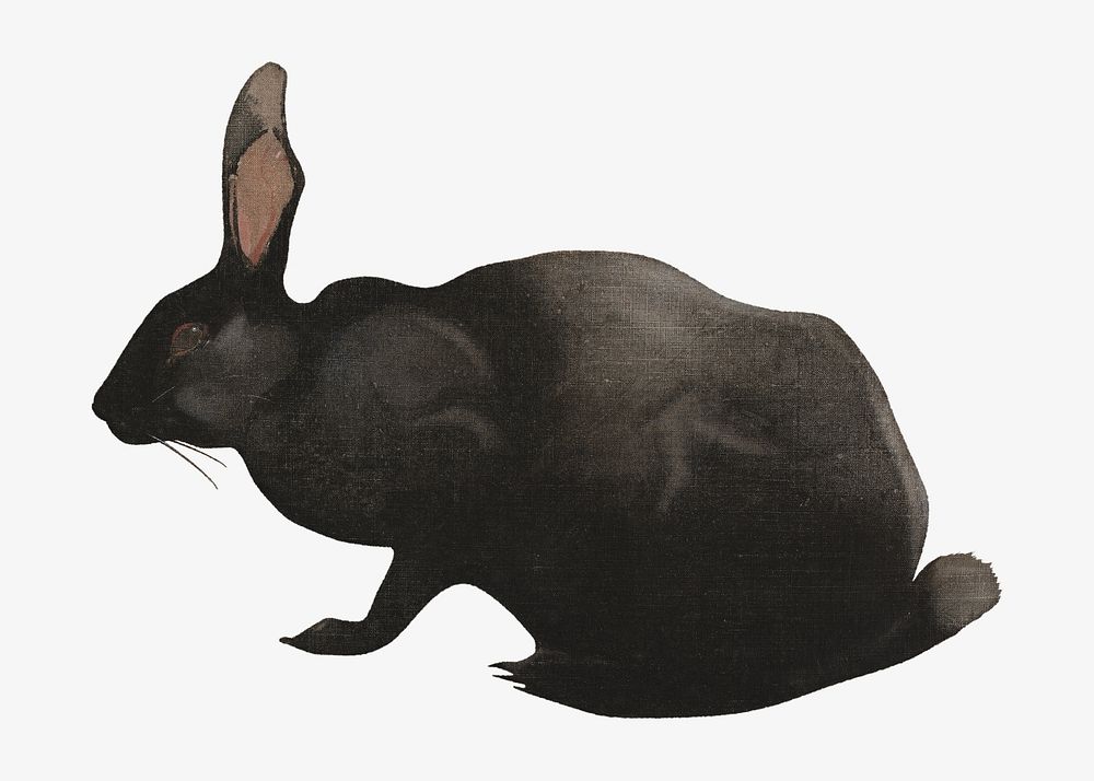 A Black Rabbit, vintage animal illustration by Joseph Crawhall. Remixed by rawpixel.