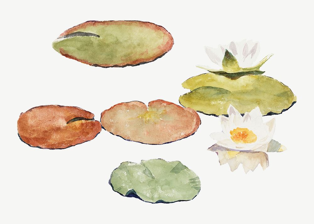 Water lilies watercolor illustration element psd. Remixed from Maria Wiik artwork, by rawpixel.
