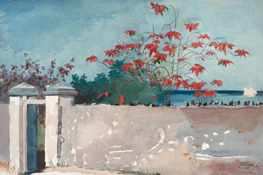 A Wall, Nassau by Winslow Homer. Digitally enhanced by rawpixel.