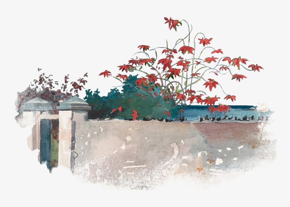Maple leaf wall watercolor illustration element. Remixed from Winslow Homer artwork, by rawpixel.