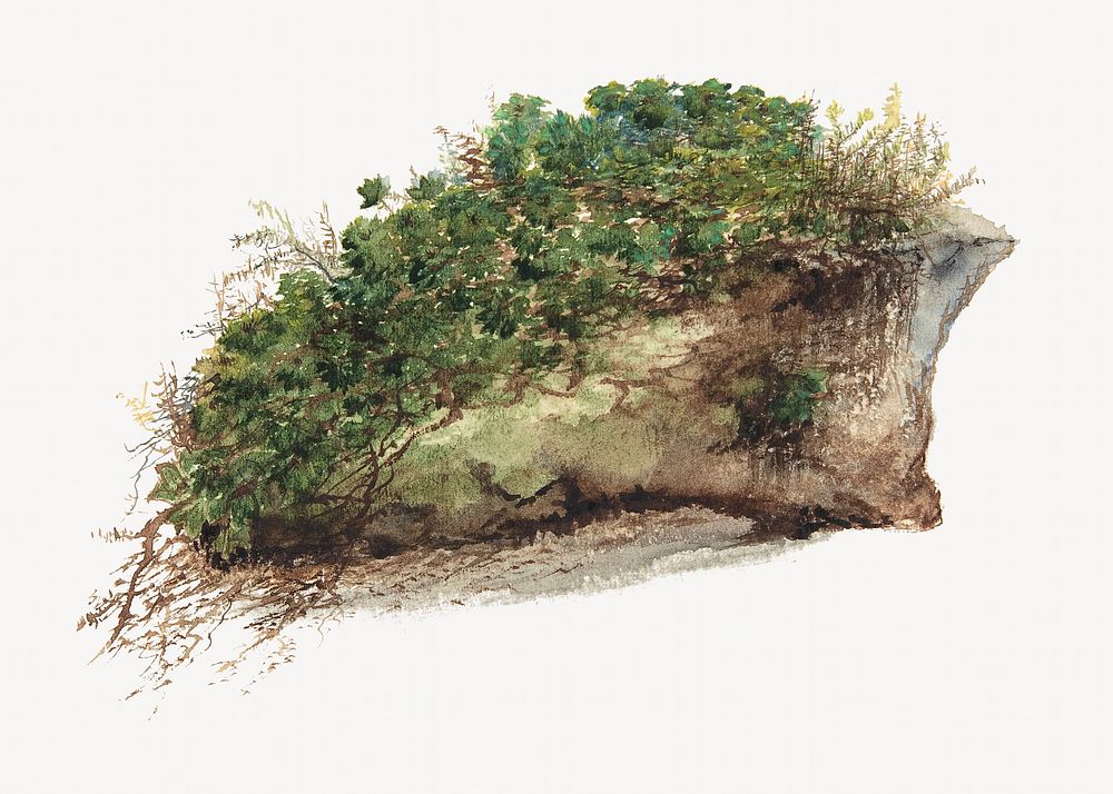 Piece of turf watercolor illustration element. Remixed from vintage artwork by rawpixel.