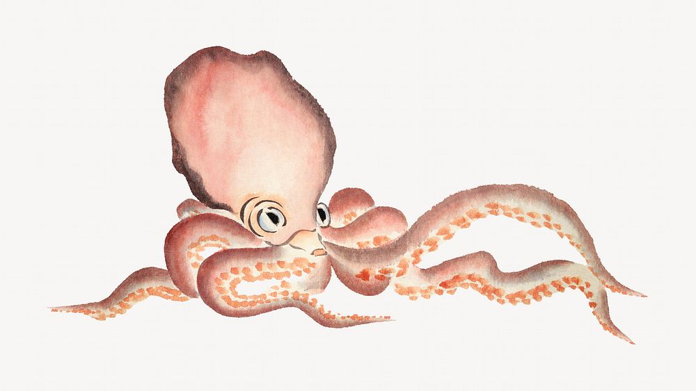 Octopus watercolor illustration element. Remixed from vintage artwork by rawpixel.