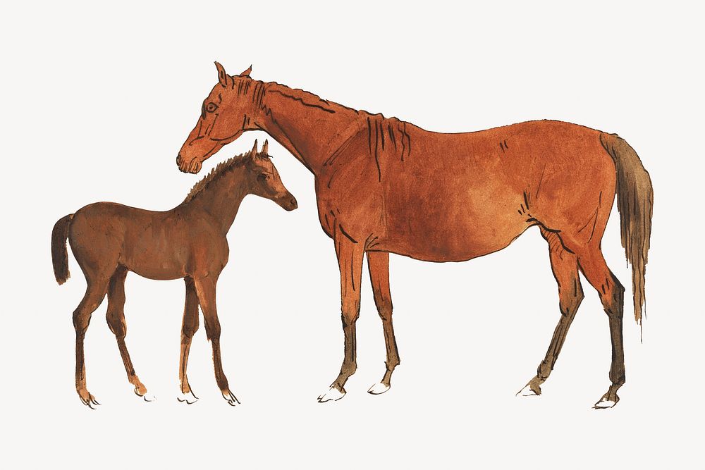 Mare & foal watercolor illustration element. Remixed from Sawrey Gilpin artwork, by rawpixel.