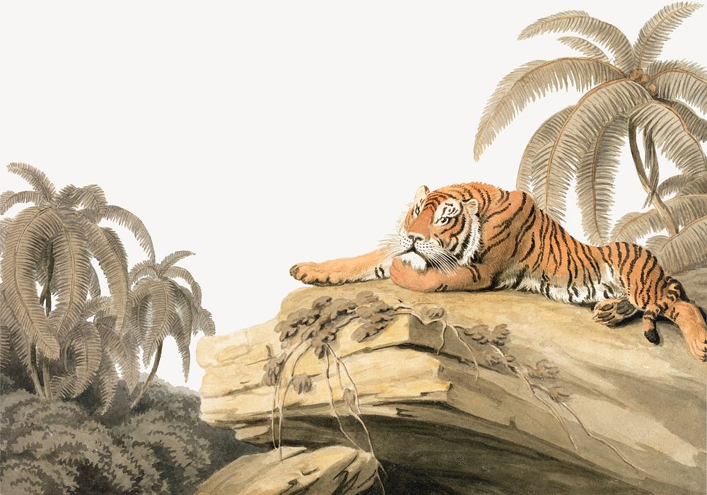 Tiger resting watercolor illustration element. Remixed from Samuel Howitt artwork, by rawpixel.