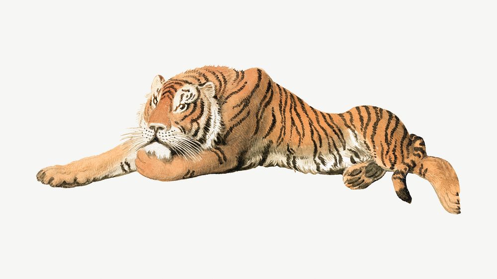 Tiger resting watercolor illustration element psd. Remixed from Samuel Howitt artwork, by rawpixel.